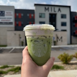 a person holding a starbucks matcha drink