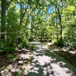 bluebird park with trees and a walking path